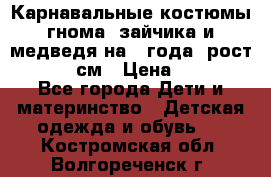 Карнавальные костюмы гнома, зайчика и медведя на 4 года  рост 104-110 см › Цена ­ 1 200 - Все города Дети и материнство » Детская одежда и обувь   . Костромская обл.,Волгореченск г.